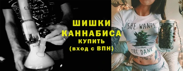 ПСИЛОЦИБИНОВЫЕ ГРИБЫ Медвежьегорск