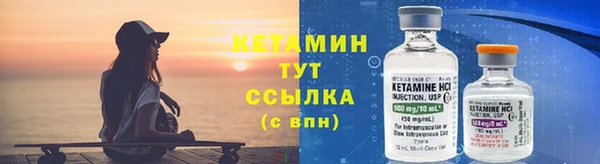 ПСИЛОЦИБИНОВЫЕ ГРИБЫ Медвежьегорск