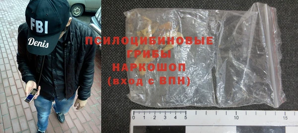 ПСИЛОЦИБИНОВЫЕ ГРИБЫ Медвежьегорск