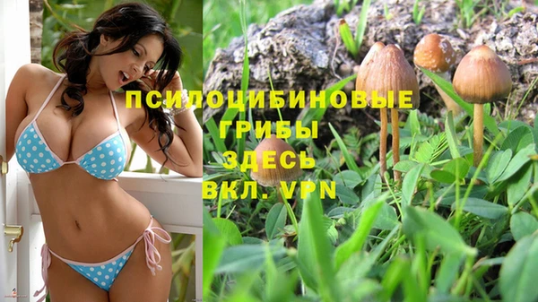 гашиш Россошь